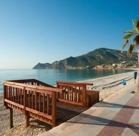 Jr Albir * El Albir